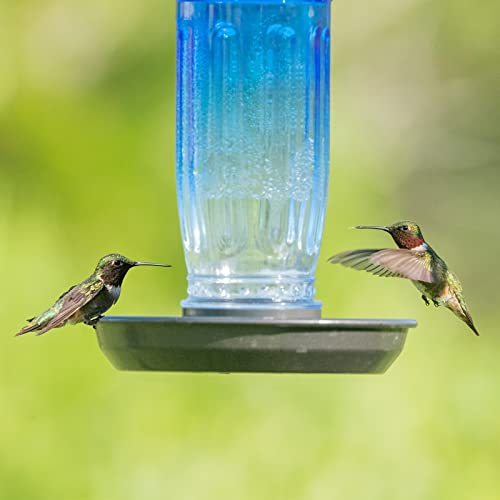 Kingsyard Glass Bird Water Feeder for Outdoors, Hanging Bird Waterer | 16 oz Capacity, 360 Degree Perch, Wide-Mouth Opening, Metal Hanging Hook & Base, Easy to Clean & Refill, Blue