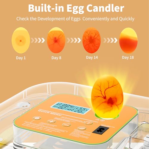 Incubator for Hatching Eggs, Temperature and Humidity Control, Automatic and Adjustable Egg Turning & Incubation Day, Built-in Egg Candler, 12 Egg Incubator for Hatching Chicken, Duck, Turkey, Bird
