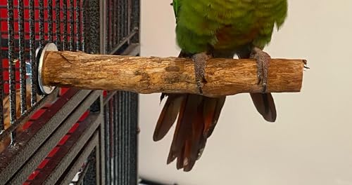 Polly's Single Bolt Hardwood Cage Perches Made in USA for Budgies, Parakeets, Cockatiels, Greys, Amazons, Blue & Gold Macaws, Cockatoos, Green Wing Macaws & Hyacinths. (X-Small) - size: X-Small