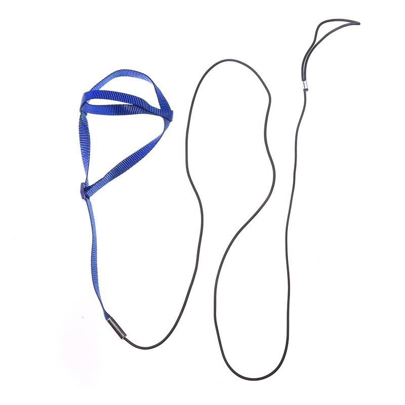 Adjustable Bird Harness and Leash,Anti-Escape Nylon Parrot Harness Blue M | Flying Training Rope Parrot Leash For Small Medium Large Breed Parrots Fits Chest Under 20'' - color: Blue, size: M