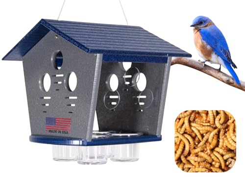 Ultimate Enclosed Bluebird Feeder - Keeps Starlings and Bully Birds Out - Holds 2 Cups Dried Mealworms