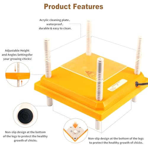 Chick Brooder Heating Plate,10"x10" Heat Plate for Chicks with Thermostatic Anti-Slip Adjustable Height & Angle,15 Watts Brooder Heater for Chicks Warm Like Mother Hen