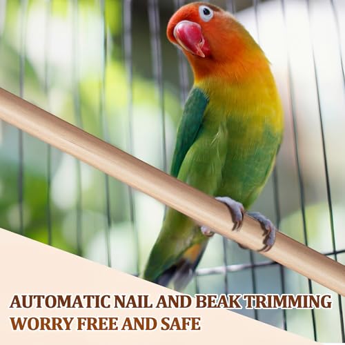 Sintuff 8 Pcs Bird Perches for Cage Accessories, Wooden Perch Rods Replacement with Double Head Slots, 0.6 Inch Diameter Natural Wood Stand for Parrot Macaw Cockatoo Parakeet (15 Inches) - size: 15 Inches