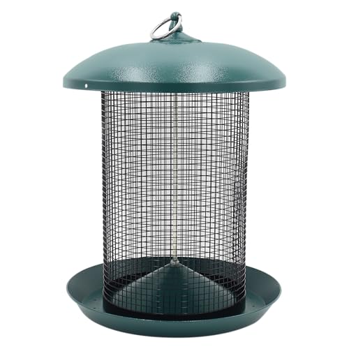 Zenport Z203010 Hanging Bird Seed Screen Feeder