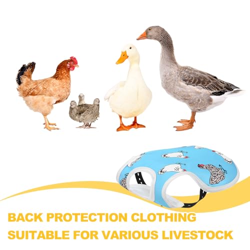 M METERXITY 2-Pack Chicken Saddle for Hens, 4.9 Inch Polyester Chicken Apron Back Protector with Adjustable Strap, Vest Jacket Mating Clothe [Blue]
