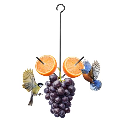 Black Oriole Feeder for Outdoors, Hanging Fruit Holder | Black hanging metal feeder holds oranges, jelly or fruit to attract orioles to gardens, patios and backyards; easy to refill