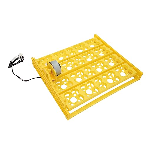 Automatic Egg Turner Tray - Multifunction Incubator Tray for 16 Duck Eggs, 72 Quail Eggs (AC12V) - size: AC12V