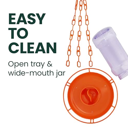 Perky-Pet Wild Oriole Jelly Bird Feeder, 32oz Capacity | Built-in Stirrer with Large Circular Feeding Tray, Wraparound Perch, Outdoor Garden Décor for Backyard Birding & Wildlife