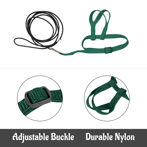 2 pcs Pet Parrot Bird Harness and Leash, Adjustable Training Design Anti-Bite, Outdoor Flying Training Rope Kit for Bird Parrots Fits Birds Chest Between24-51cm /9.45-20inch - M (Green) - color: green, size: Small