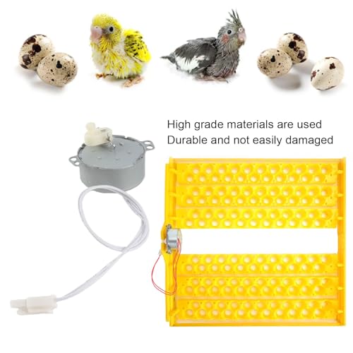 Egg Tray Turning Motor, Electric Synchron Motor Replacement Egg Turner Motor, Automatic Egg Turning Tray Tool Incubator Accessories for Incubating Chicken, Duck and Quail Egg