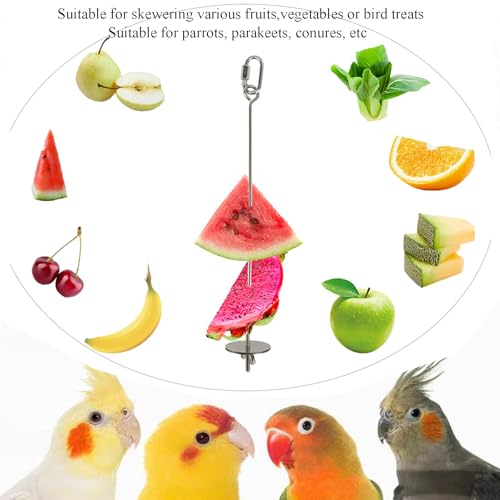 2pcs Hanging Bird Treat Skewer Parrot Fruit Feeder with Washer, 11 Inch Stainless Steel Bird Food Holder Parrot Fruit Food Skewer Parakeet Treat Feeder for Parakeet Conure, LXLVOUEG - size: Nut-11inches-2P