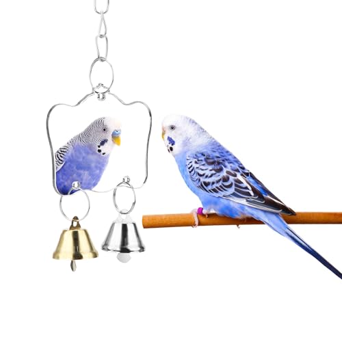 Hypeety Bird Mirror Toy with Bells Cage Hanging Mirror for Parakeets | Clear acrylic mirror with 2 bells, with protective film, easy to hang, fun swing toy, for parakeets/cockatiels/finches/conure