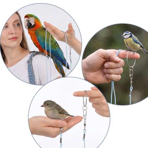 Bird Leash with 5 Different Size Foot Ring Parrot Flying Harness | Lightweight Elastic Bird Leashes Leg Band Outdoor Training Traction Rope for Macaw African Greys Parakeet Cockatoo Sun Conure