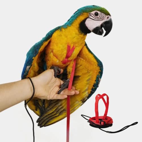 Adjustable Bird Harness with 78.7 Inch Leash, Outdoor Flying Training Rope Kit for Bird Parrots, Parrot Flying Rope Straps Outdoor Training Traction Rope for Small Medium Large Size Birds (XL) - size: XL