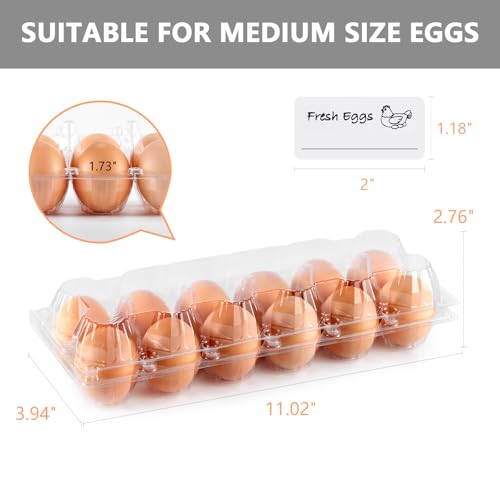 60PCS Egg Cartons Cheap Bulk Chicken Egg Holders for Medium Eggs | Clear Empty Chicken Egg Carton with Sticker Labels for Chicken Farm Business Market Home Refrigerator Storage - size: 60Pack-2x6 Grids