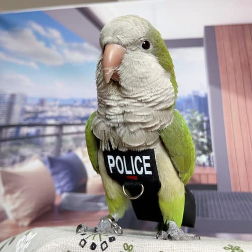 Bird Diaper Harness Flight Suit Clothes, Parrot Flight Suit with Leash for Parrot, Bird Flying Clothes with Rope and Handle for Outdoor Activities Training (Without Leash -XX-Large) - size: Without Leash -XX-Large