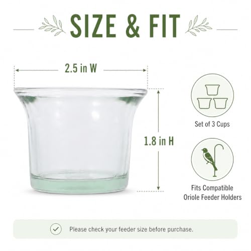 DECHOUS 3Pcs Replacement Glass Cups for Oriole Feeder Hummingbird Wild Bird | Outdoors Garden Balcony Patio Birds Feeding Accessories, Glass Jelly Feeder Cups for Oriole and Hummingbirds