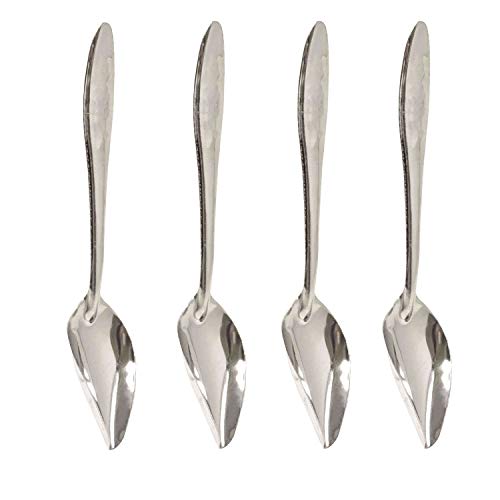 Honbay 4PCS Stainless Steel Bird Feeder Spoons Parrot Feeding Scoops Hand Feeding Spoons for Parrot