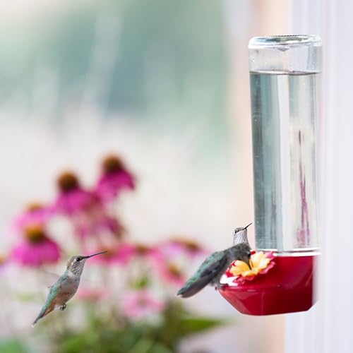 Perky-Pet Window-Mounted Glass Hummingbird Feeder - 14 fl oz Nectar Capacity - Entertaining Bird Watching - Glass Window Bird Feeder - 455-2 - Family Birdwatching - size: (Pack of 1)