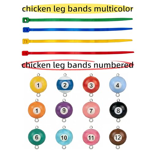 Colored & Numbered Chicken Leg Bands, 12 Billiard Ball Style, 1.6cm | Poultry Identification, Chicken & Goose Compatible, Colorful Rings