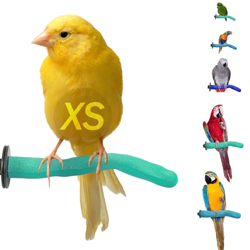 Sweet Feet and Beak Safety Pumice Bird Perch, X-Small Pedicure Perch, Green | Plastic Bird Nail Trimming Perch, Pumice Coated Surface for Healthy Feet and Beak, 6" Lightweight Perch, Available In 5 Sizes - color: Green, size: X-Small 6"