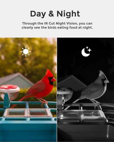 Devo Solar Smart Bird Feeder with Camera, WiFi Outdoor, AI ID, 2.5K HD | WiFi Bird Feeder Cam, Real-Time Alerts, Gift for Bird Lovers, Dad, Mom, Family