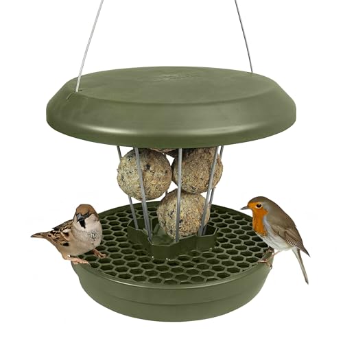 SWISSINNO Bird Feeders - No Mess Fat Ball/Suet Feeder for Outdoors Hanging - Smart Birds Lucerne Spill Proof Wild Cardinal Bird Feeder with Integrated Seed Catcher Tray - Green - color: Green, style: Lucerne