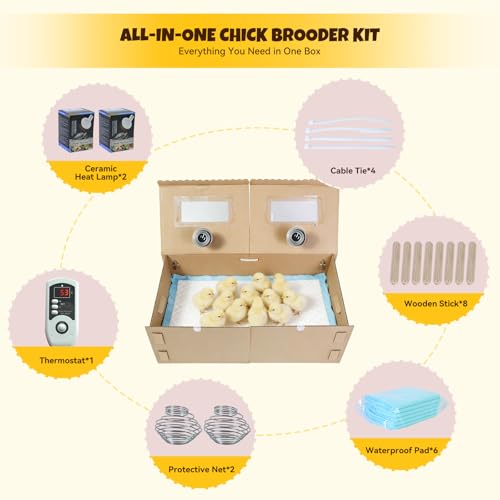 AsFrost 33" Extra Large Chick Brooder Box for 40 Chicks, Dual 75W No-Light Ceramic Heat Lamps, Adjustable Thermostat, 6 Waterproof Pads, Poultry Brooder for Quail, Rabbits & Reptiles