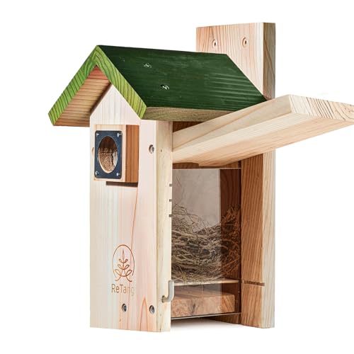 Outdoor Cedar Birdhouse, 1.5" Hole Bluebird Nesting Box with Predator Guard | Metal predator guard protects nest, side cleaning door opens fast, interior step gives baby birds extra grip to climb out - style: Modern