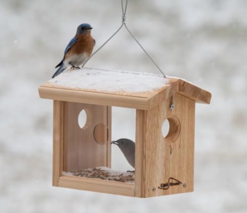Cedar Hanging Bluebird Mealworm Feeder