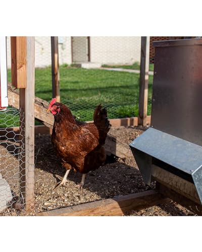 Galvanized Chicken Feeder - 25Lbs Outdoor Waterproof Metal Feeder with Lid, Coop Food Dispenser No Waste for Chicken, Haning or Stand