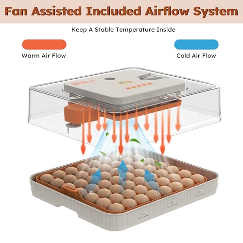 Egg Incubator for Hatching 56 Chicken, Duck, Quail & Goose Eggs – Automatic Egg Turner, Humidity & Temperature Control, Built-in LED Candler, Auto Water Refill, 360° Clear View Digital Poultry Hatcher