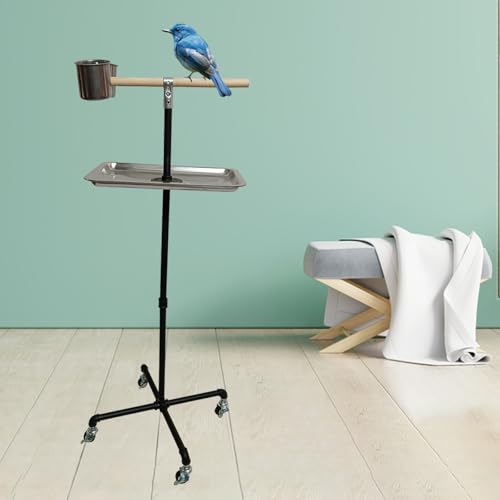 Stainless Steel Tray Bowls Bird Perch Stand,with Wheels Parrot Stand,Parrot Perch Stand 2 Stainless Steel Cups,Bird Play Stand for Indoor Outdoor(Black