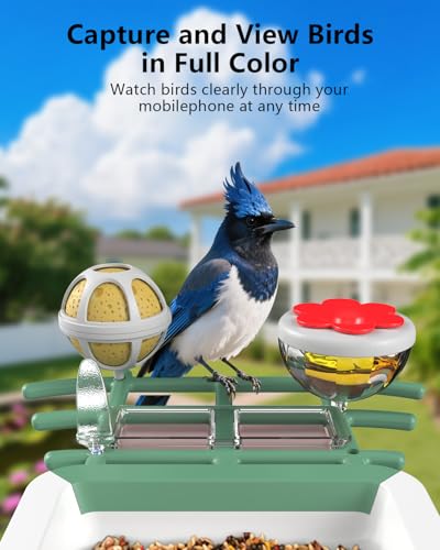 Bird Feeder with Camera, 2K Smart BirdCamera with Solar Powered, AI Identify Birds Species, Instant Arrival Alerts, 2.4Ghz WiFi Bird House for Outdoors, Ideal Gift for Family and Bird Lovers (Green) - color: Green