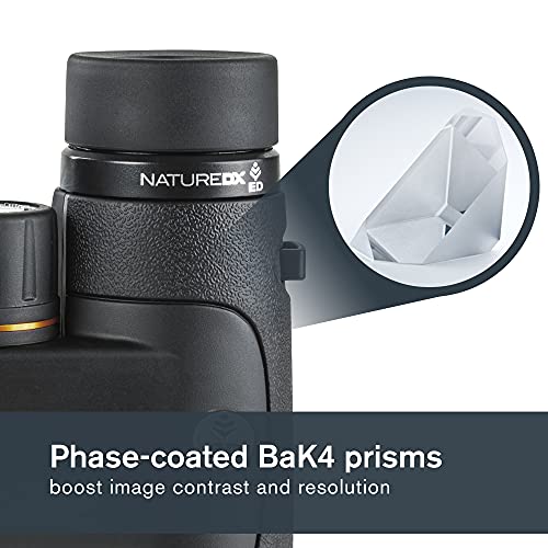 Celestron–Nature DX ED 8x42 Premium Binoculars Extra Low Dispersion Objective Lenses-Outdoor and Birding Binocular–Fully Multi Coated with BaK-4 Prisms Rubber Armored, Fogproof, Waterproof(Pack of 10) - size: 8x42 Nature DX ED (Pack of 10), style: Nature