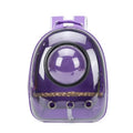 Transparent Parrot Backpack: Wooden Perch, Shoulder Strap, Breathable. Ideal for outings with Parrots, Magpies, & Birds. Comfortable & Spacious. (Purple-2) - color: Purple-2