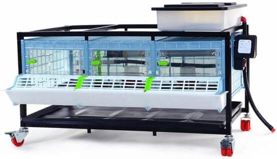 Hatching Time 9.5" Chick Brooders – Stackable with Automatic Heating, Modular Design, Easy to Clean, Ideal for Quail, Pheasant, and Baby Chicks (1 Layer) - style: 3 Section, 1 Layer