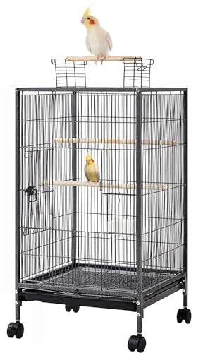 36-Inch Deluxe Sturdy Wrought Iron Bird Flight Open Play Top Cage with Rolling Stand for Parrots Conure Lovebird Cockatiel