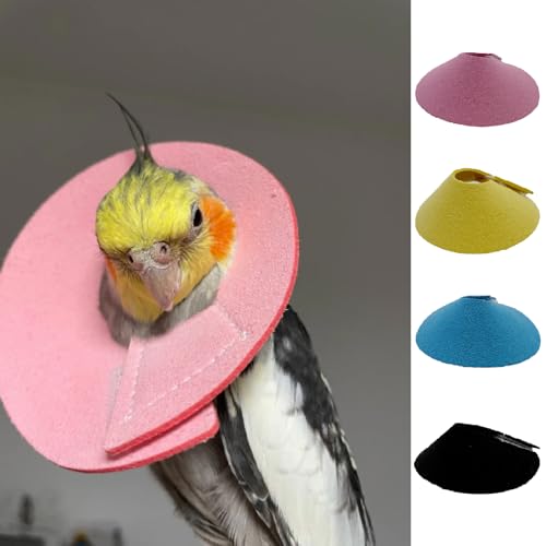 4 Pcs Bird Cone Collar, Pet Parrot Anti-bite Elizabethan Collars, Bird Collars for Feather Plucking for Lovebird Budgerigar Cockatiel Cockatoo Parrots (Mix Colors)