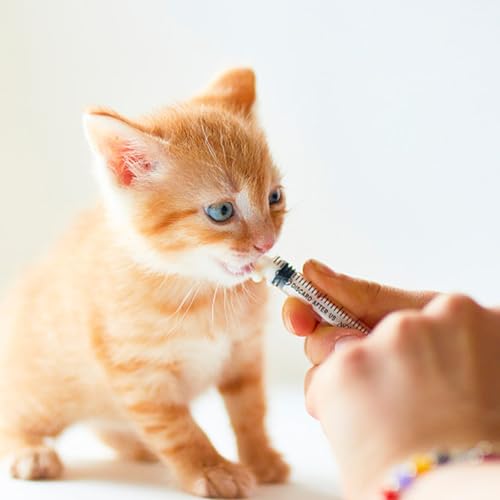 Baby Bird Feeding Syringe Kit,Hand Feeding Syringe for Birds,Pet Syringe Feeding Tool, Parrot Feeding Tubes Set for Small Baby Birds Pet Kittens (B) - color: B