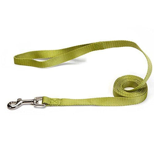 Zack & Zoey Basic Nylon Dog Leash, 4-Feet x 5/8-Inch Lead, Parrot Green - color: Parrot Green, size: 4-Feet x 5/8-Inch Lead