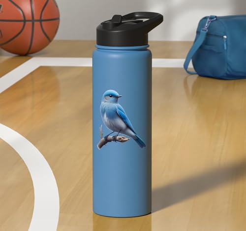 Bird Series. Mountain Bluebird. Stainless Steel Insulated Water Bottle - color: Light Blue