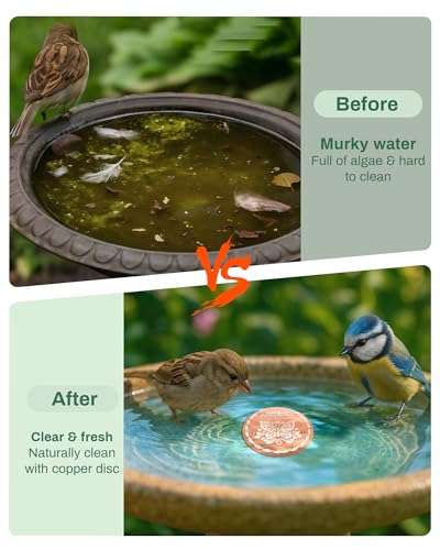 OICEME Bird Bath Purification Disk Pure Copper Outside Birdbath Outdoor Hummingbird Water Fountain Solar Power Window Feeder Stand Nectar Food Pole House Hanging Birdhouse Accessories - color: Gold 1PCS Butterfly