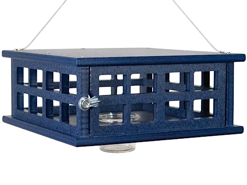 Recycled Poly Lumber Caged Platform Bluebird Feeder (Blue) - color: Blue/Blue