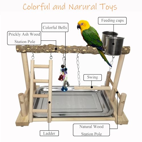 PINVNBY Bird Playground Parrot Playstand Birds Play Stand Wood Exercise Perch Gym Stand Playpen Ladder with Feeder Cups Hanging Swing Toys for Parakeet Conure Cockatiel Budgie Cage Accessories - size: One Floor With Ladder