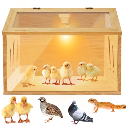 Brooder Box for Chicks，Indoor Smart Wooden Poultry Brooder with Heater, Suitable for 5-7 Newborn Chicks, Ducks, Quail, etc.（12 * 12 * 15.7inch） - size: 15.7"L x 12.0"W x 12.0"H