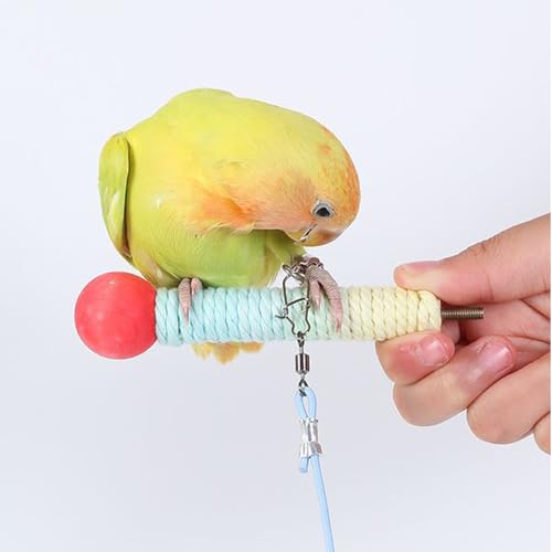 Parrot Flying Rope Lightweight Bird Harness Leash with Foot Ring Leg Band Elastic Bird Flying Leash Outdoor Training Traction Rope for Macaw African Greys Parakeet Cockatoo Sun Conure