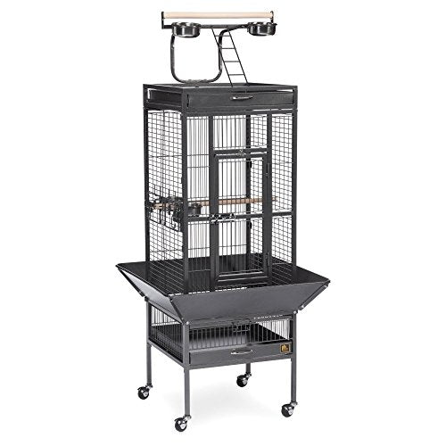 Prevue Pet Products Wrought Iron Select Bird Cage, Metal Cage Home Crate for Birds with Seed Guard, Play Top and Caster Wheels, Black Hammertone Finish | Durable Steel Cage with Rolling Stand and Seed Guards, Ideal for Cockatiels and Medium Birds - color: