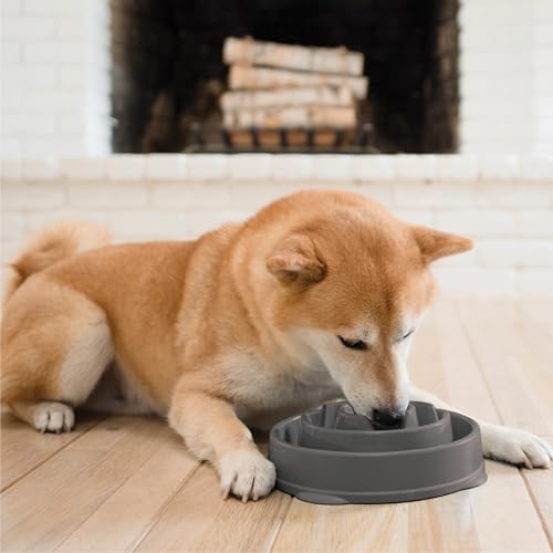 Outward Hound Fun Feeder Slo Bowl – Medium 2‑Cup Capacity, Slow Feeding, Small to Medium Dogs & Cats, Non-Slip, Gray, Drop Pattern - color: Gray, size: Medium