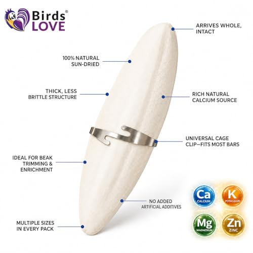 Birds LOVE 5.5-6″ Cuttlebone for Birds – 100% Natural Sun-Dried Calcium & Beak Conditioning Supplement for Parakeets, Budgies, Cockatiels, Finches & Canaries – 6 Pack with Holder – Made in Vietnam - size: 1 Count (Pack of 1)